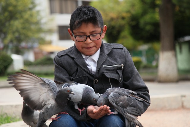 Plaza Avoroa'daki güvercinlerle oynayan genç bir çocuk